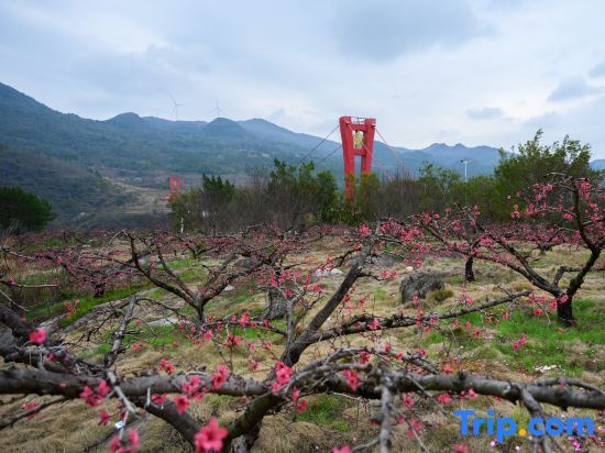 Цзиньюань: Qingyuan Lianzhou Longtan Holiday Homestay