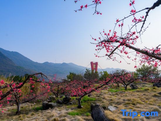 Цзиньюань: Qingyuan Lianzhou Longtan Holiday Homestay