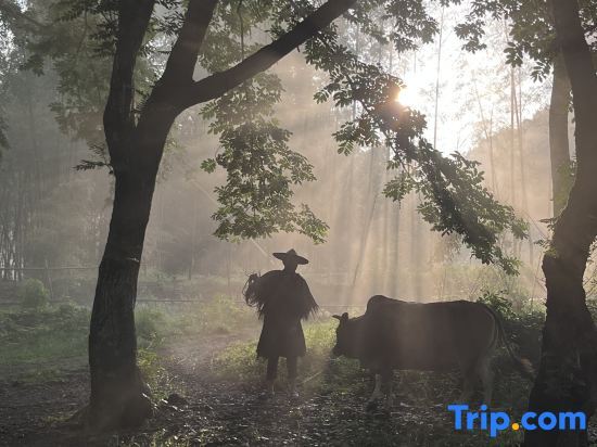 Лишуй: Jinyun Xiandu Jijia Homestay