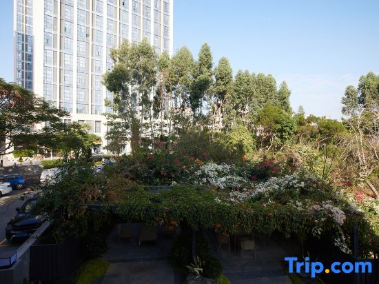 Сямынь: Xiamen Shanxuan Huijing Jinyuan Hotel (District Government Huijing Plaza)