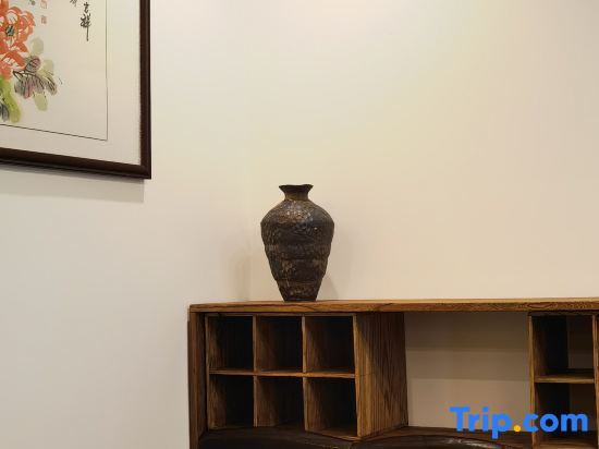 Чунцин: Youyi Homestay (Chongqing Aegean Shopping Park)