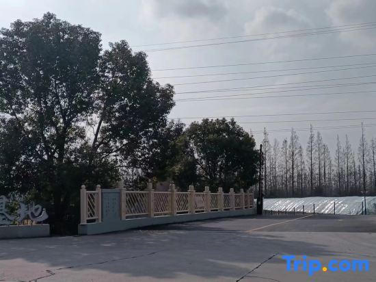 Шанхай: Shanghai Research Base