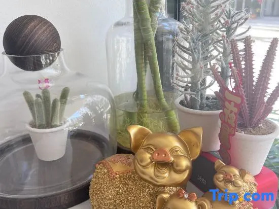 Хэнъян: Yuanyuanli Homestay