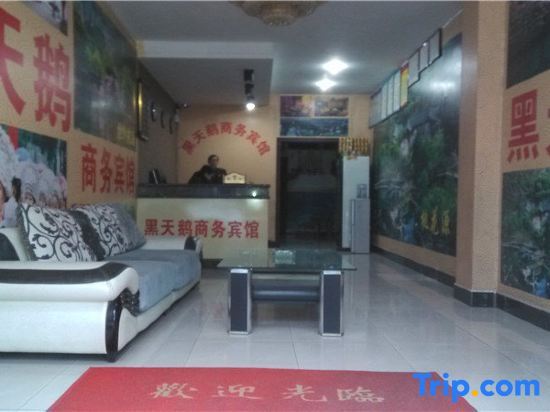Чунцин: Xiangyang Black Swan Business Hotel
