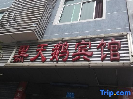 Чунцин: Xiangyang Black Swan Business Hotel