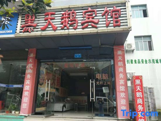 Чунцин: Xiangyang Black Swan Business Hotel