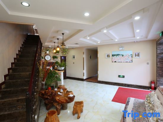 Харбин: Harbin Spruce International Youth Hostel