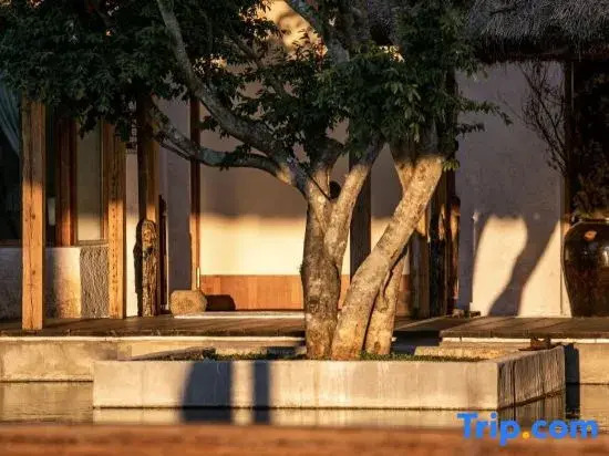 Юйси: Fuxian Lake Tongchenyuan Lakeview Hot Spring Hotel