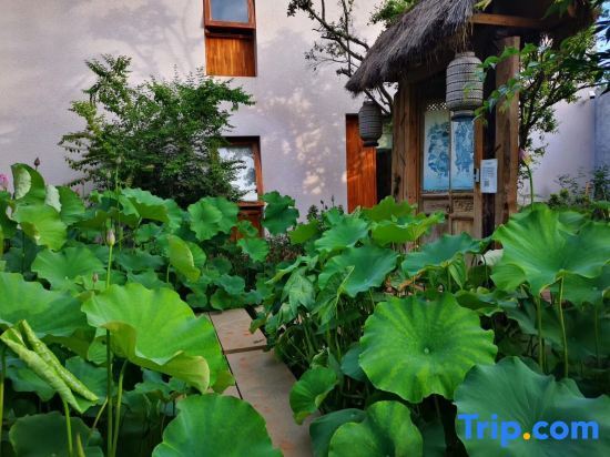 Юйси: Fuxian Lake Tongchenyuan Lakeview Hot Spring Hotel