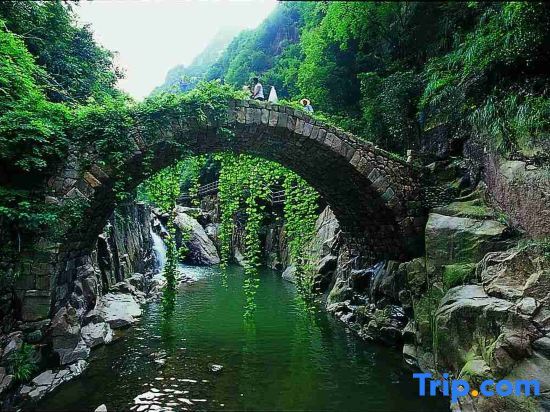 Тайчжоу: TAOYUAN