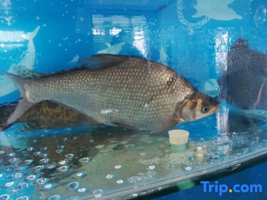 Муданьцзян: Jingpohu Tianyuange Restaurant