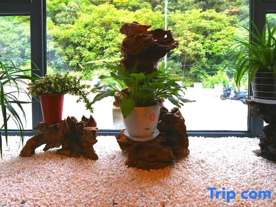 Хуаншань: Banmutang Hostel South Gate of Huangshan Scenic Area