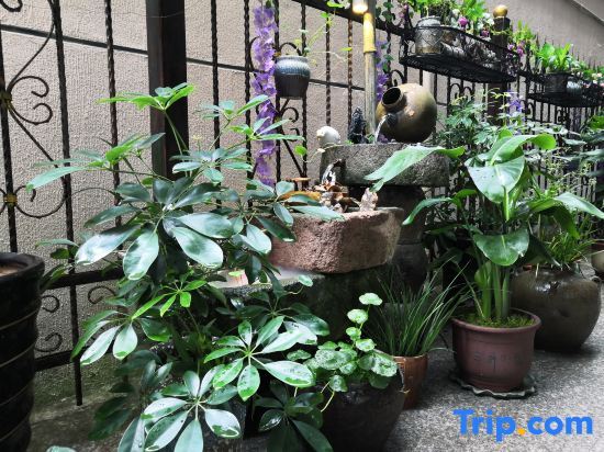 Лишуй: Jinyun Mountain Zheqi Residential Residence (Xiandu Scenic Area Shop)