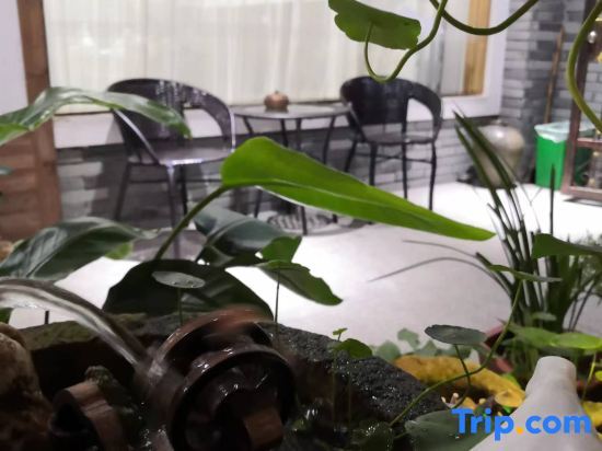 Лишуй: Jinyun Mountain Zheqi Residential Residence (Xiandu Scenic Area Shop)
