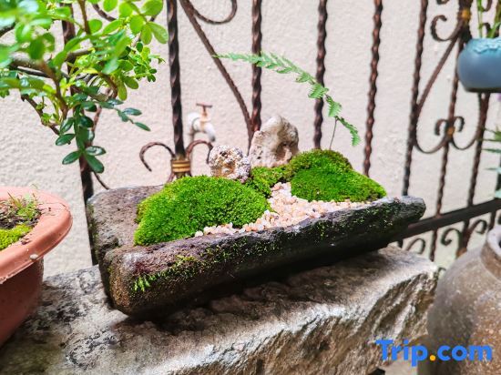 Лишуй: Jinyun Mountain Zheqi Residential Residence (Xiandu Scenic Area Shop)