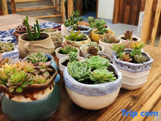 Тайчжоу: Tiantai ManXiuShe Homestay