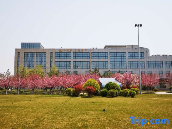 Вэйхай: Jiulongsheng Swan Hotel