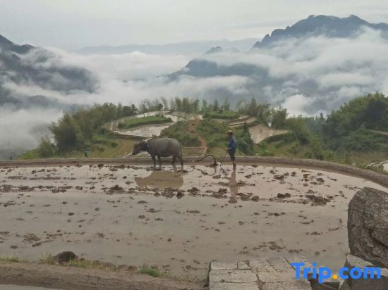 Лишуй: Yunhe Terraces Jiuqu Yunhuan Scenic Area Farmhouse