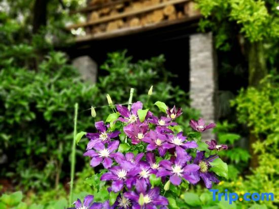 Чунцин: Nanlu Hostel