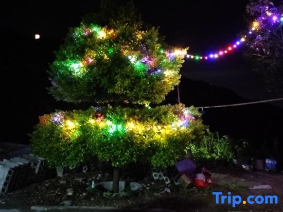 Hengshan Palm Tree Garden Self-operated Homestay (Central Scenic Area) — фото 5