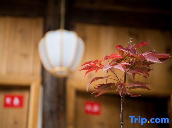 Цюаньчжоу: Shangqinglou Qing Dynasty Courtyard Inn