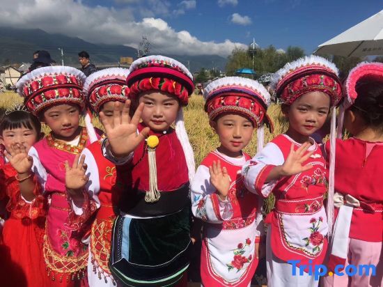 Дали: Anxiang Shuying Hostel