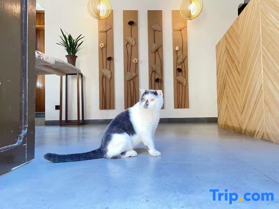 Хуаншань: Fiona’s Trip Boutique Hostel