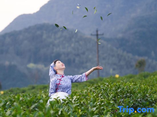 Xuancheng: Green Ring Resort Hotel