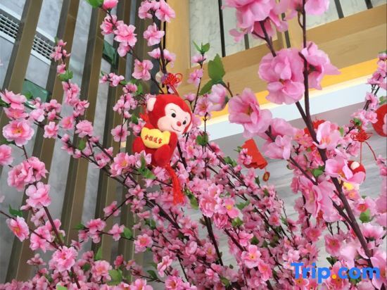 Вэньчжоу: wenzhou wanzi  Hotel