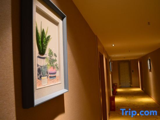 Чжэнчжоу: Yafandisi Hotel (Zhengzhou Shengda School of Economics and Business Management)