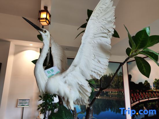 Хойчжоу: Huizhou Mangrove Bay Binhaishan Lake View Center Apartment