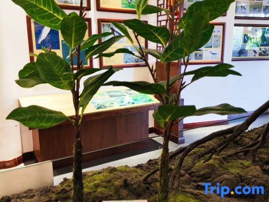 Хойчжоу: Huizhou Mangrove Bay Binhaishan Lake View Center Apartment