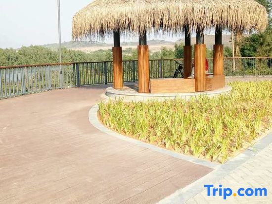 Хойчжоу: Huizhou Mangrove Bay Binhaishan Lake View Center Apartment