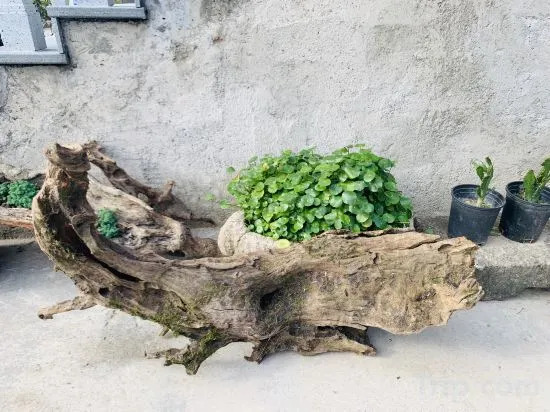 Ханчжоу: Hangzhou Pushe Xiaoqi Homestay