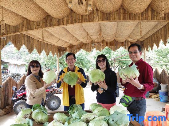 Цзиньюань: Yingde 25℃ Shizhu Homestay (Yingxi Fenglin Corridor Branch)