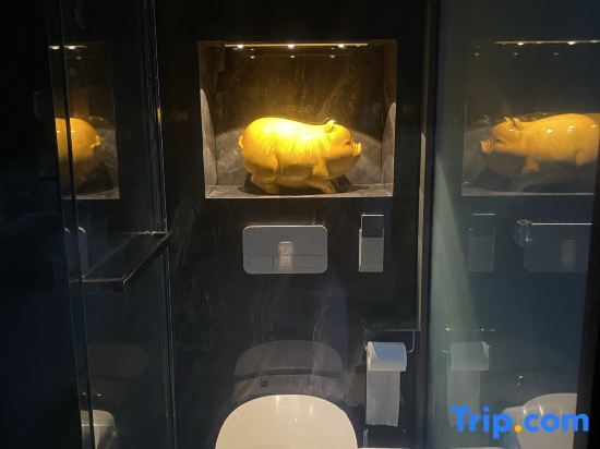 Сичан: Xichang Shuiyue Jingshe Homestay