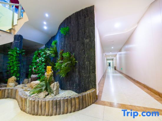Чунцин: chongqing shuiziling Theme Hotel