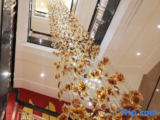 Ордос: Zhenjin International Hotel