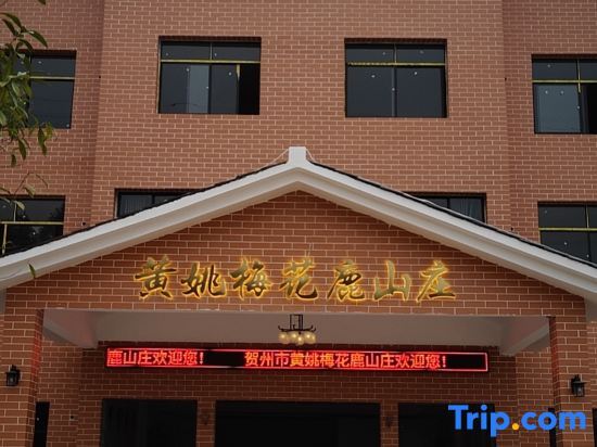 Хэчжоу: Huangyao Ancient Town Sika Lu Villa
