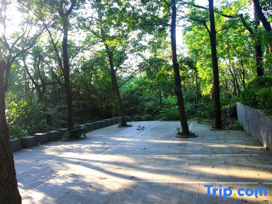 Чанчжоу: Maoshan · Zhidao Forest Hot Spring Home stay