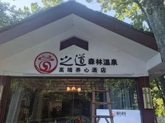 Чанчжоу: Maoshan · Zhidao Forest Hot Spring Home stay