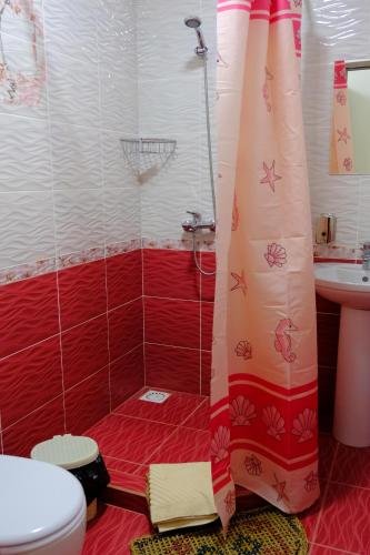 Астрахань: "Voyazh"