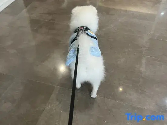 Цзиньхуа: Rongjingwan Apartment Hotel (Jinhua Wanda Plaza)