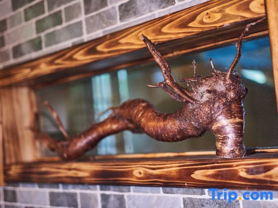 Лишуй: Linxi Xiaoyin Homestay