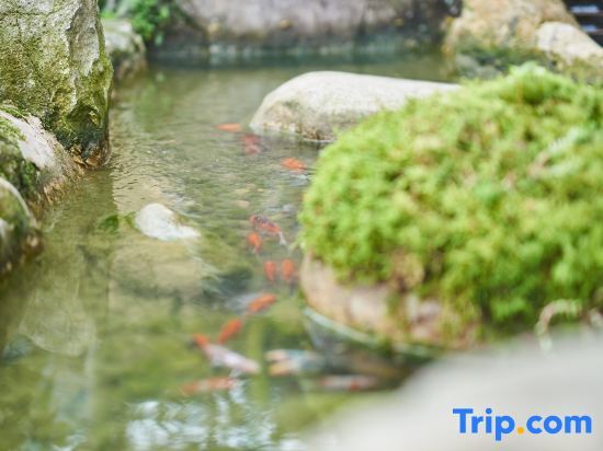 Лишуй: Linxi Xiaoyin Homestay
