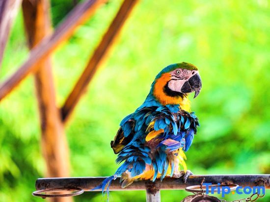 Линьи: Zhuquan Village Scenic Area Hostel