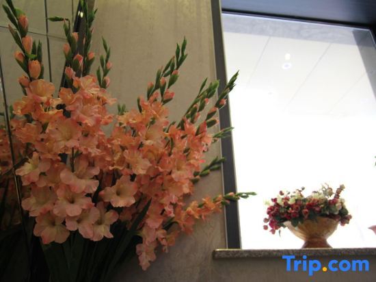Харбин: Harbin Tianyi Express Hotel