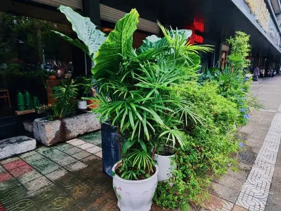 Сянфань: Ruoyin Hostel