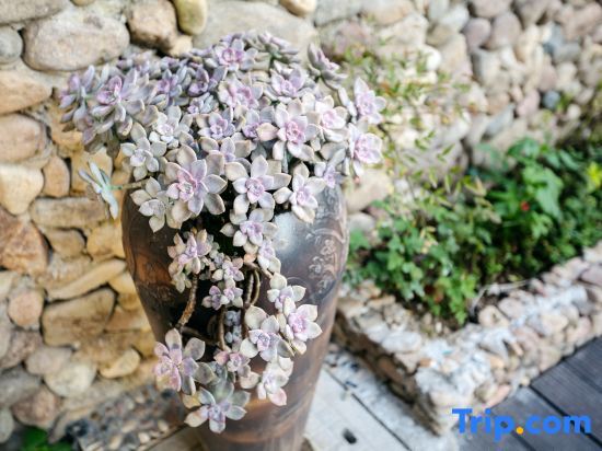 Лишуй: Zhenai Fanshe Homestay