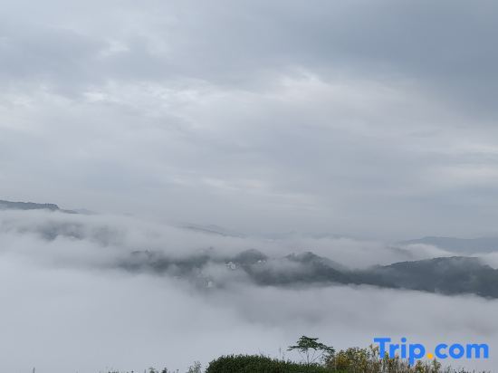 Шаоксинг: Xinchang Daxu Xiaoruo Homestay